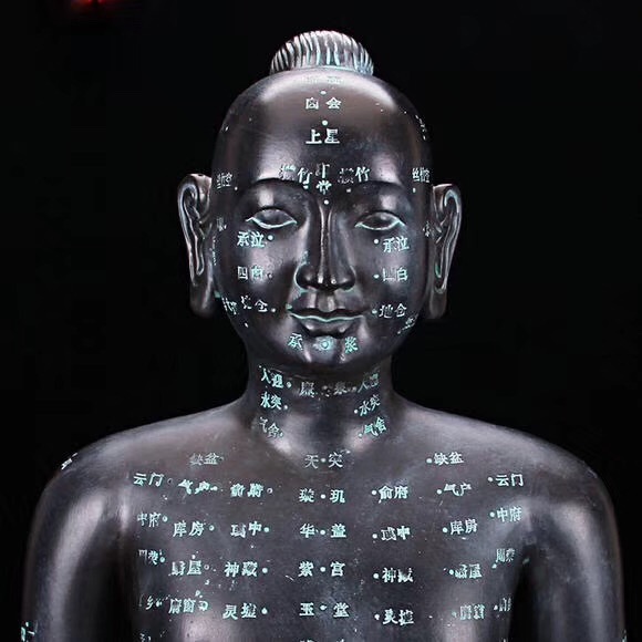 中醫(yī)教學儀器模型生產(chǎn)廠家 Tcm