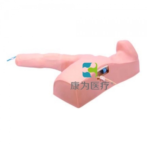 “康為醫(yī)療”外周穿刺中心靜脈插管操作模型（PICC線(xiàn)）