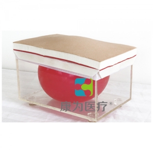 “康為醫(yī)療”開(kāi)腹關(guān)腹訓(xùn)練模型,開(kāi)腹、關(guān)腹操作模型