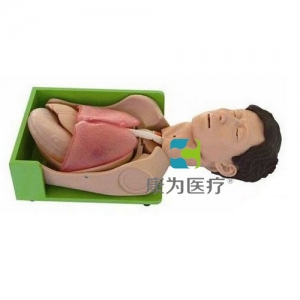 “康為醫(yī)療”胃腸減壓、吸痰標(biāo)準(zhǔn)化模擬病人