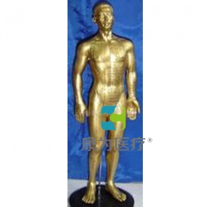 “康為醫(yī)療”50CM銅人針灸穴位模型　