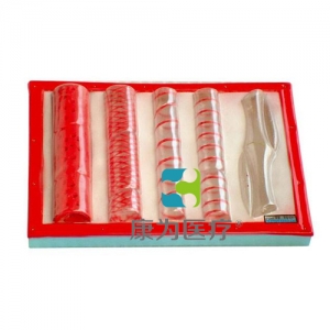 “康為醫(yī)療”導(dǎo)管、篩管結(jié)構(gòu)模型