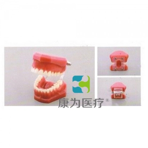 “康為醫(yī)療”標(biāo)準(zhǔn)模型（平板、斜板兩款）