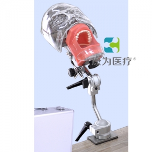 “康為醫(yī)療”簡(jiǎn)易仿頭模