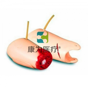 “康為醫(yī)療”控制出血大腿模型