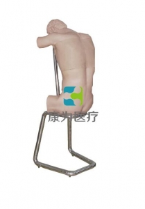 “康為醫(yī)療”胸腔（背部）穿刺訓(xùn)練模型（基礎(chǔ)版，升級(jí)版）