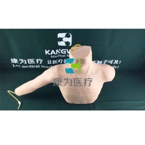 “康為醫(yī)療”外周穿刺、中心靜脈穿刺插管模型