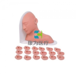 “康為醫(yī)療”高級(jí)耳部檢查模型,高級(jí)耳部檢查模型（14種、19種、25種病變）