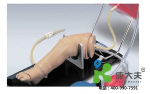 “康為醫(yī)療”嬰兒股靜脈、動(dòng)脈、骨內(nèi)注射腿