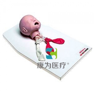 新生兒氣管插管訓練模型