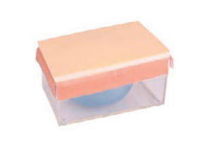 開腹、關(guān)腹操作模型