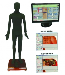 多媒體按摩點(diǎn)穴電子人體模型