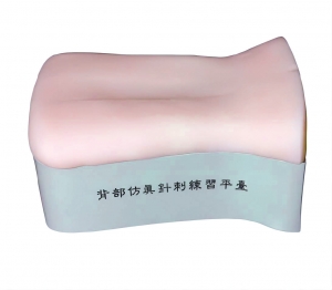 背部仿真針刺練習(xí)平臺(tái)