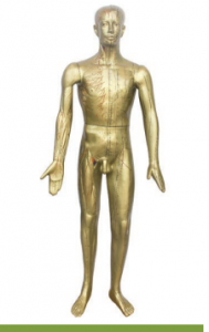 人體針灸模型178cm(青銅色）