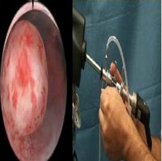 點(diǎn)擊瀏覽下一頁