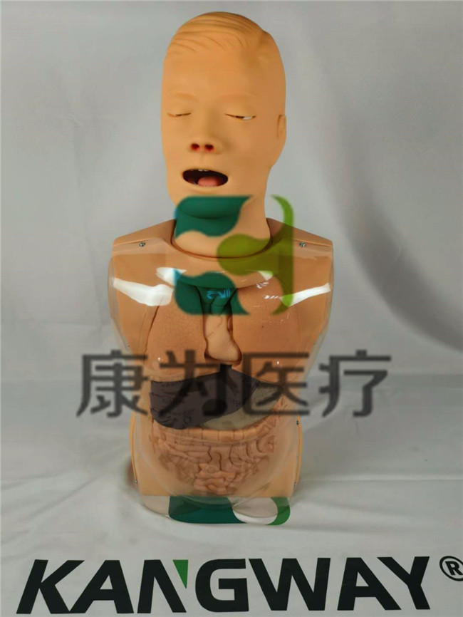 "康為醫(yī)療NM2319高級鼻淚管通液訓練模型,淚道沖洗訓練模型,淚道探通術訓練模型