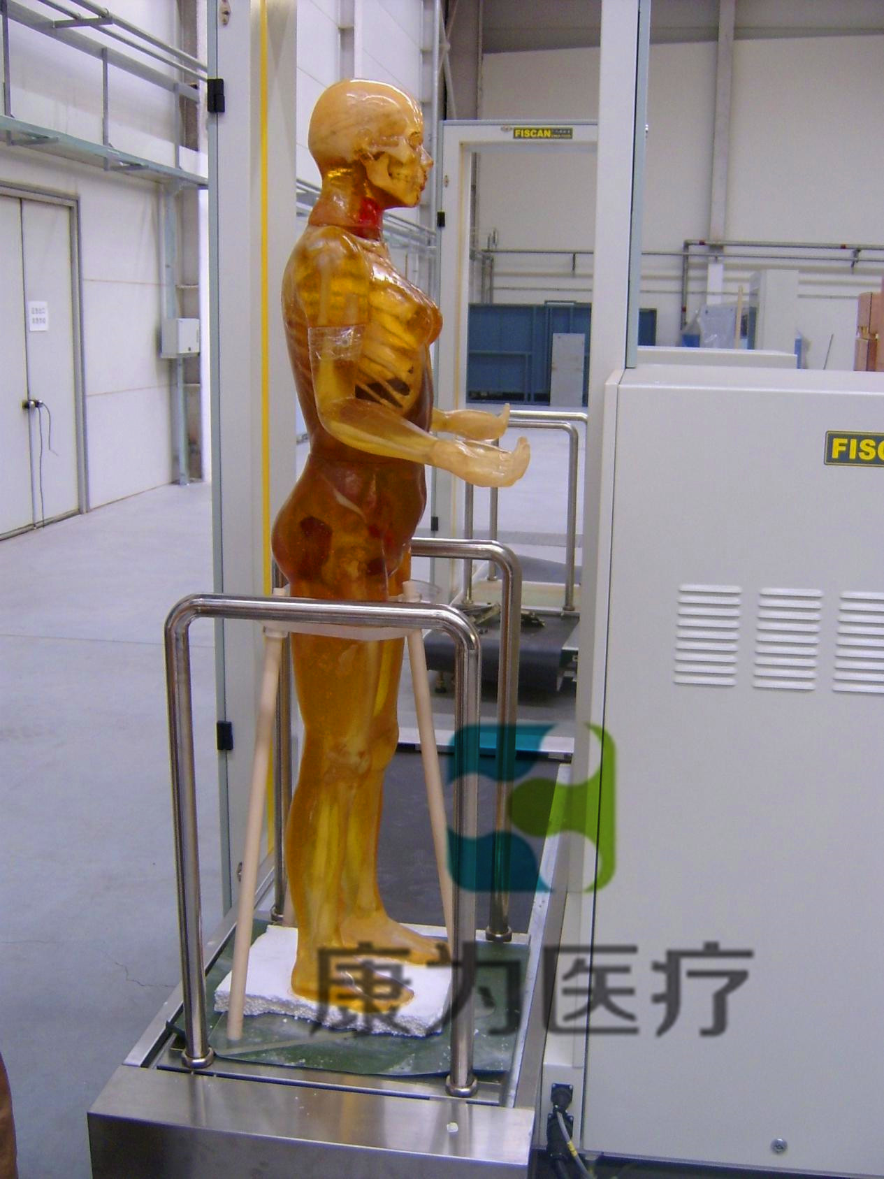 X線攝影定位用標(biāo)準(zhǔn)化模擬病人