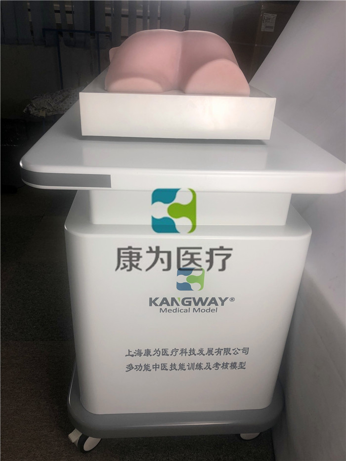 中醫(yī)拔罐、推拿、艾灸、刮痧、砭術技能訓練模型