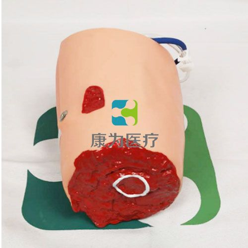 1762480559325777.png 圖片1.png