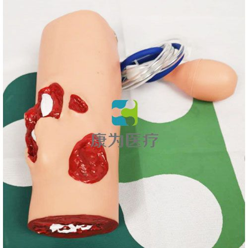 1762480738435171.png 圖片1.png