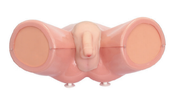 1770004888662368.png 圖片1.png