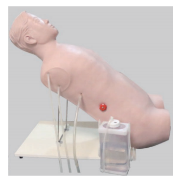 1771899104178063.png 圖片2.png