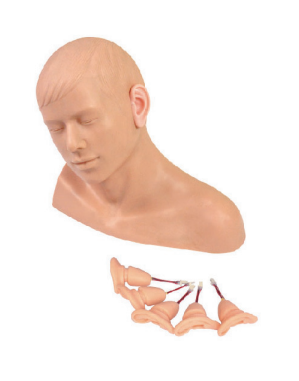 1772500985831166.png 圖片1.png